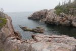 PICTURES/Cabot Trail - Coves, Forests, Trails and Falls/t_Jack Pine9.JPG